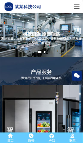 某某科技集团 2462